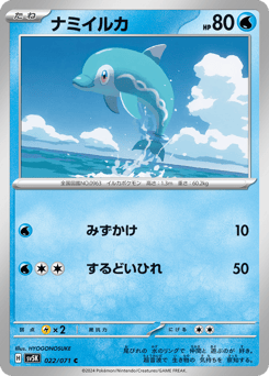 ナミイルカ