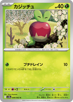 カジッチュ