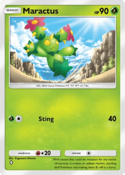 Maractus