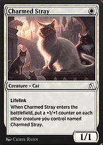 Charmed Stray
