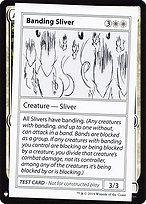 Banding Sliver